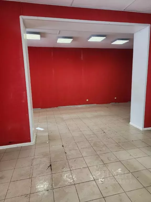 Помещение свободного назначения в Липецкая область, Липецк бул. Сергея ... - Фото 2