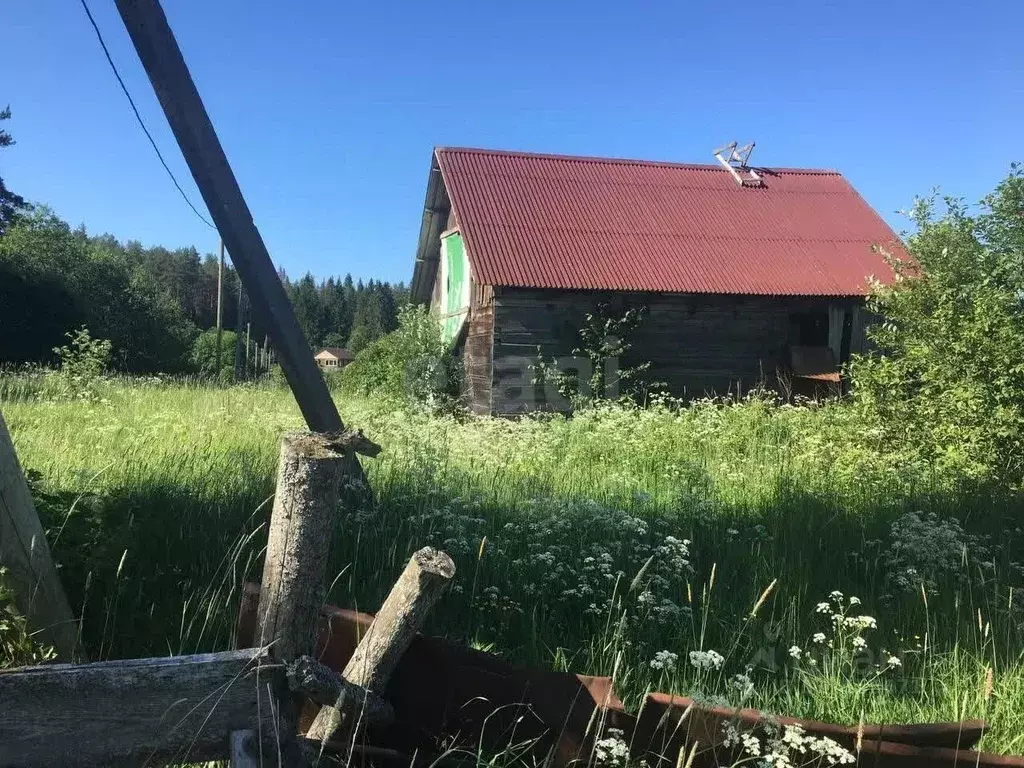 Участок в Ленинградская область, Приозерский район, Мельниковское ... - Фото 1