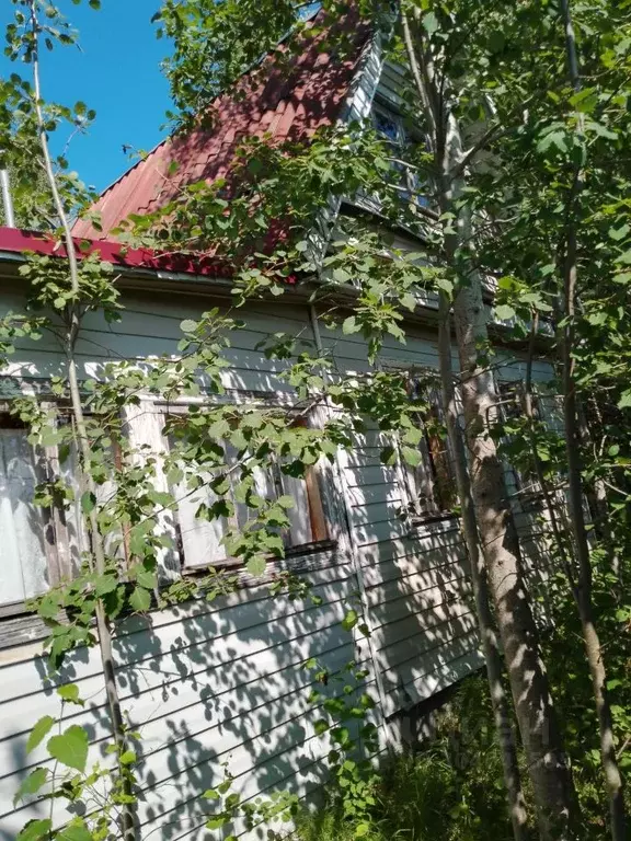 Дом в Тверская область, Осташковский городской округ, д. Жар  (64 м) - Фото 0