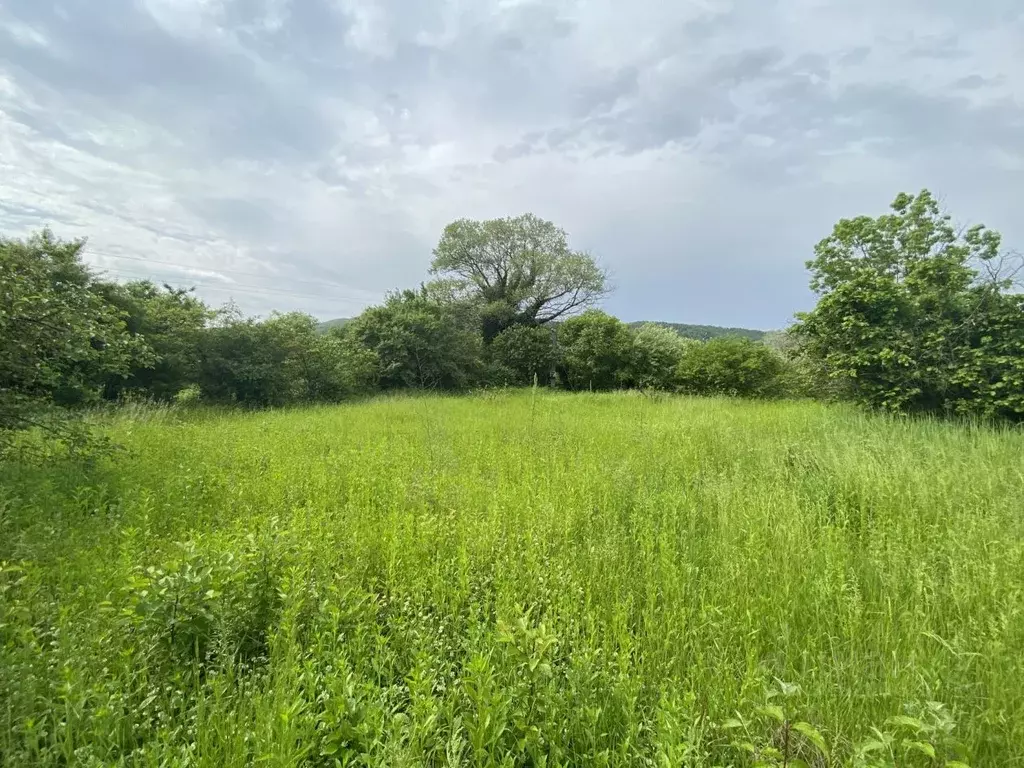 Участок в Краснодарский край, Геленджик муниципальное образование, с. ... - Фото 2