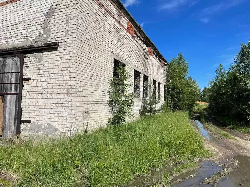 помещение свободного назначения в владимирская область, судогодский . - Фото 1