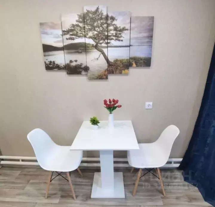 Студия Ивановская область, Иваново Профессиональная ул., 35 (17.0 м) - Фото 1