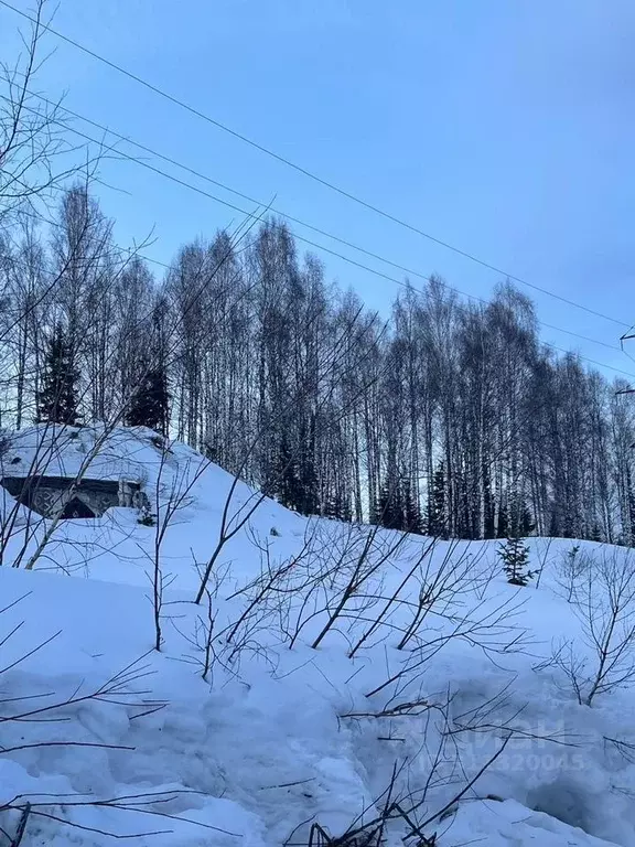 Участок в Кемеровская область, Таштагольский район, Шерегешское ... - Фото 1