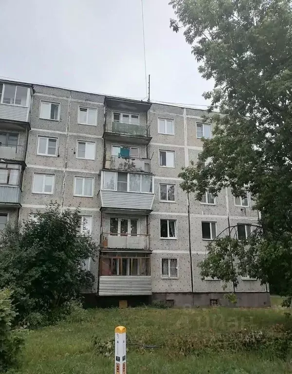 1-к кв. Московская область, Ногинск Богородский городской округ, ул. ... - Фото 1
