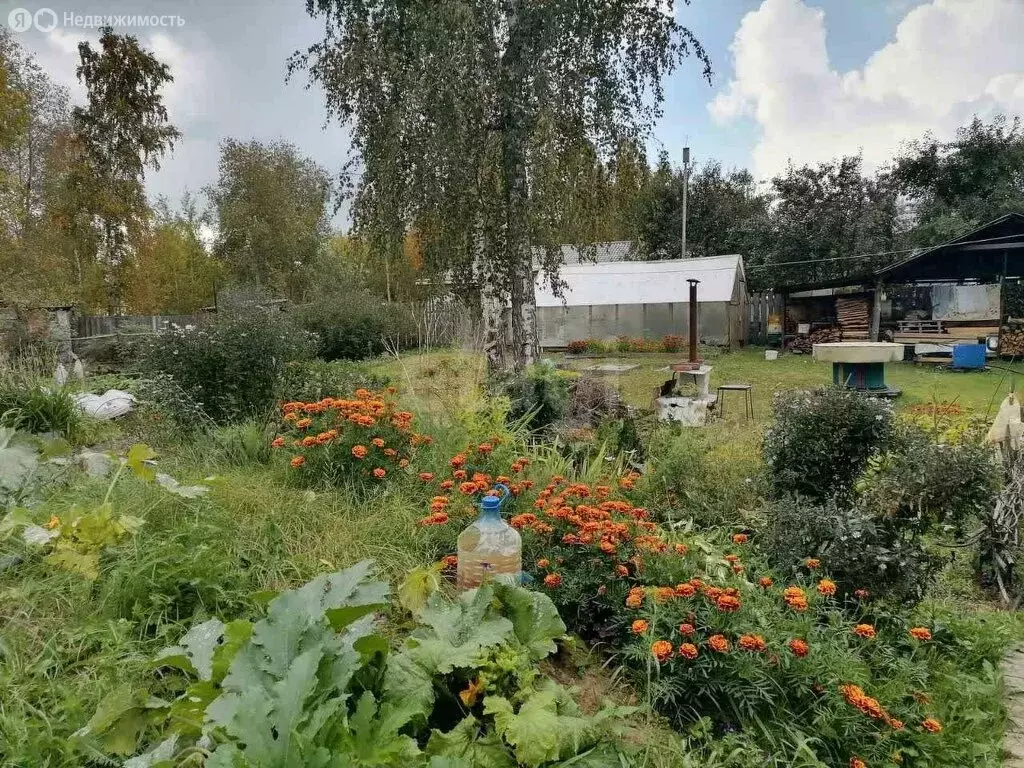 Участок в Тюмень, садовое товарищество Колос-3, Малиновая улица (27 м) - Фото 1