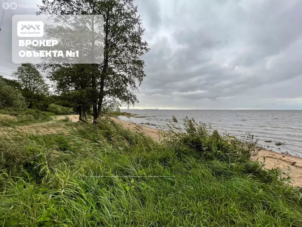 Участок в Санкт-Петербург, Соловьиная улица, 15 (24 м) - Фото 1