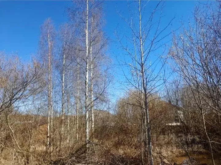 Участок в Ленинградская область, Никольское Тосненский район, Сокол-2 ... - Фото 1