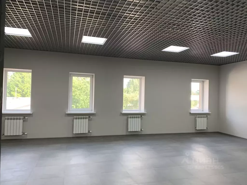 Офис в Орловская область, Орел ул. Лескова, 17Г (47 м) - Фото 1