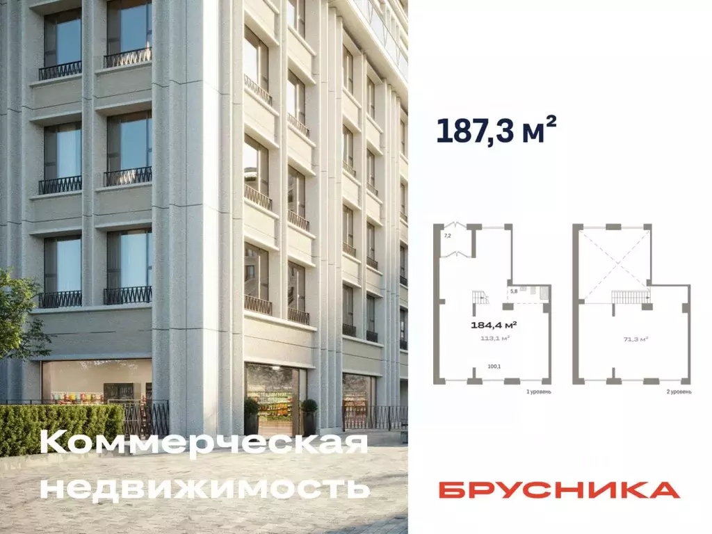 Помещение свободного назначения в Новосибирская область, Новосибирск ... - Фото 1