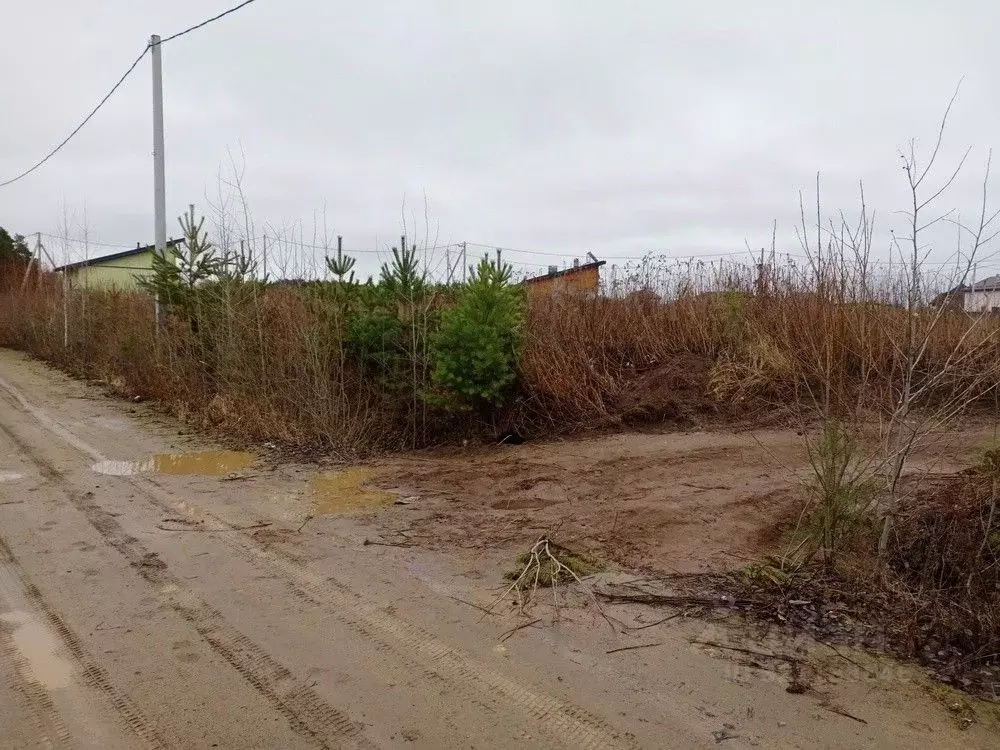 Участок в Свердловская область, Екатеринбург Кольцово жилрайон,  (15.3 ... - Фото 2