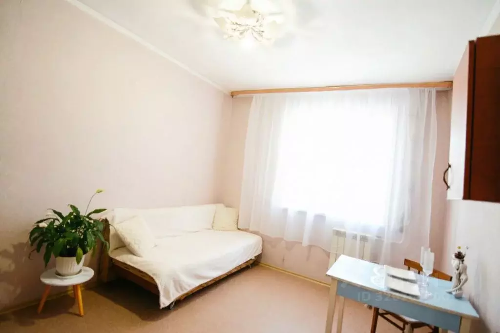 Студия Амурская область, Благовещенск Высокая ул., 202 (18.6 м) - Фото 1