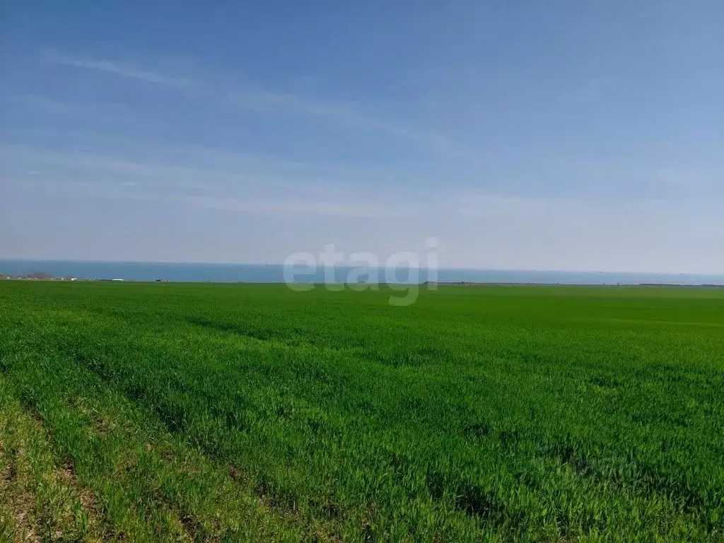 Участок в Крым, Ленинский район, Челядиновское с/пос, с. Челядиново ... - Фото 1