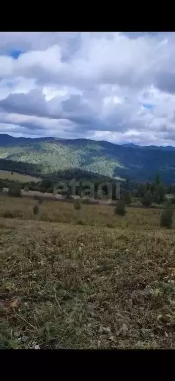 Участок в Алтай, Чемальский район, Элекмонарское с/пос, Седьмое Небо ... - Фото 1