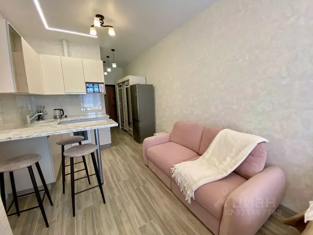 Студия Краснодарский край, Сочи городской округ, Дагомыс пгт ш. ... - Фото 2