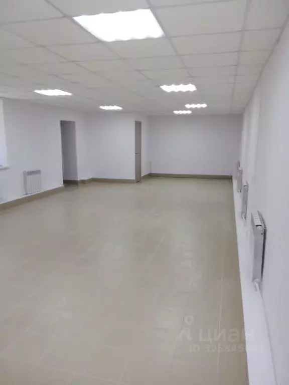 Торговая площадь в Нижегородская область, Нижний Новгород ул. ... - Фото 1