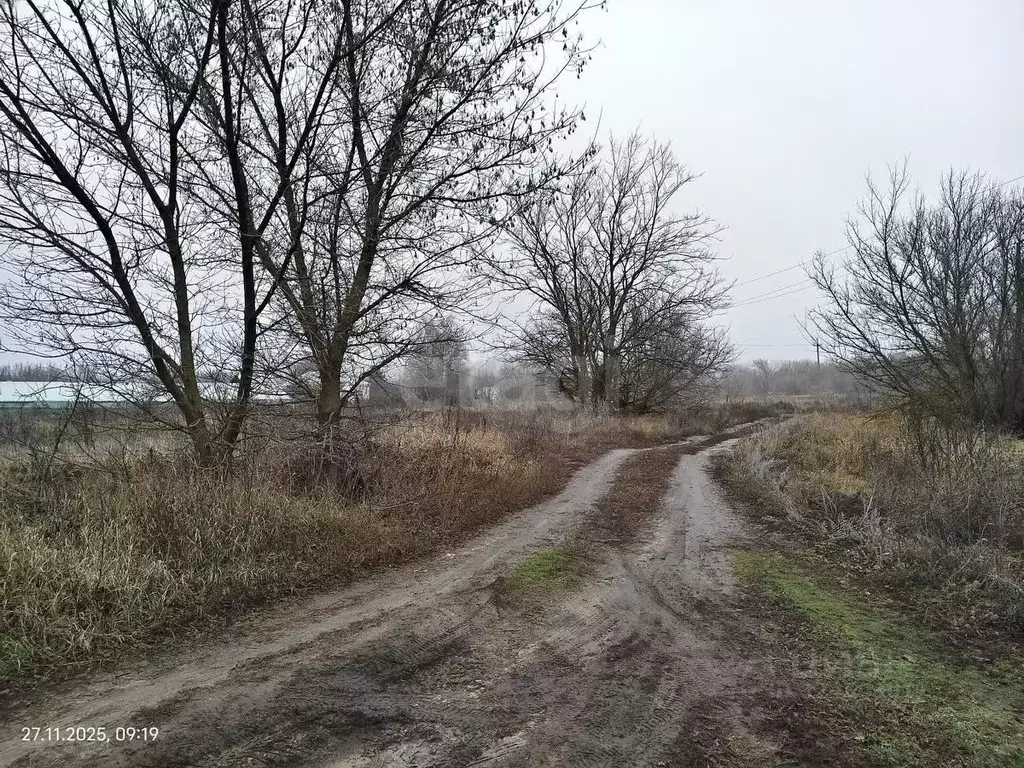Склад в Воронежская область, Грибановский район, с. Верхний Карачан ... - Фото 2