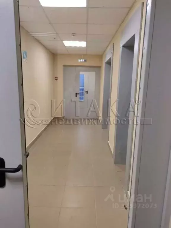 Студия Ленинградская область, Мурино Всеволожский район, ул. Шувалова, ... - Фото 2