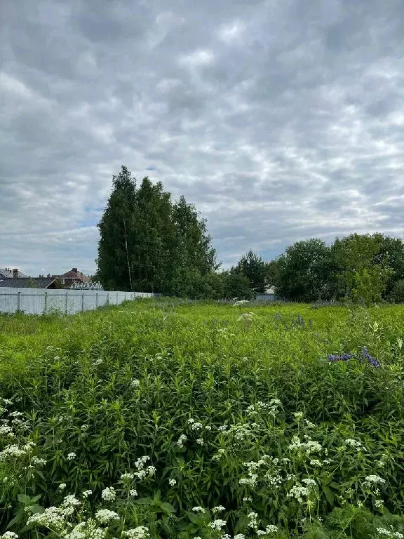 Продается участок в ТСН Ромашкино - Фото 1