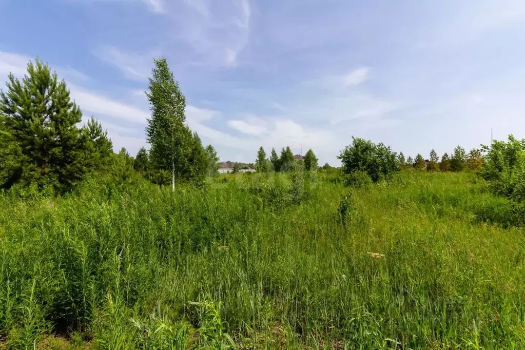 Участок в Тюменская область, Тюменский муниципальный округ, ... - Фото 0