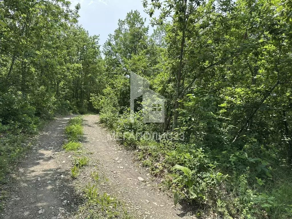 Участок в Краснодарский край, Геленджик городской округ, с. ... - Фото 1