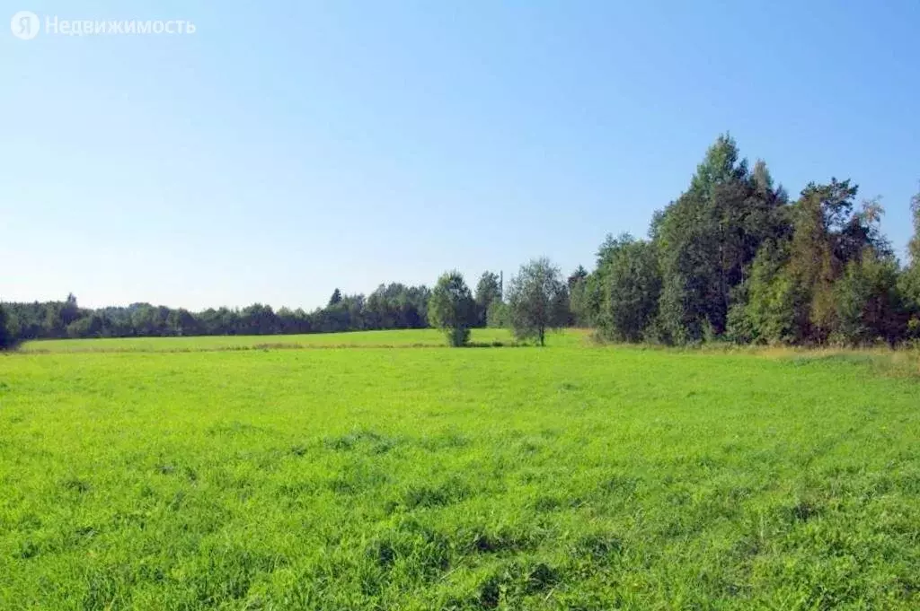 Купить Земельный Участок Выборгском Районе