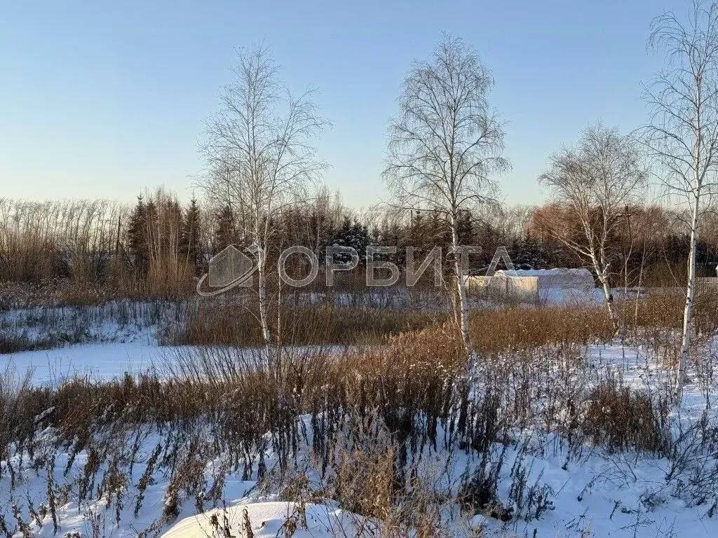 Участок в Тюменская область, Тюмень ул. Изобильная, 29к1 (8.0 сот.) - Фото 1