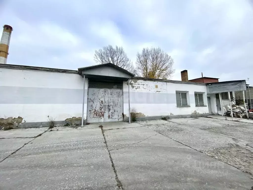 Торговая площадь в Белгородская область, Белгород Сумская ул., 44Д ... - Фото 1