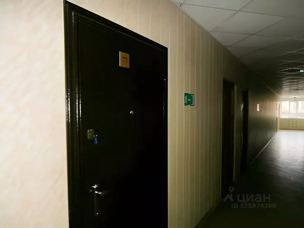 Офис в Московская область, Ногинск Богородский городской округ, ул. ... - Фото 2