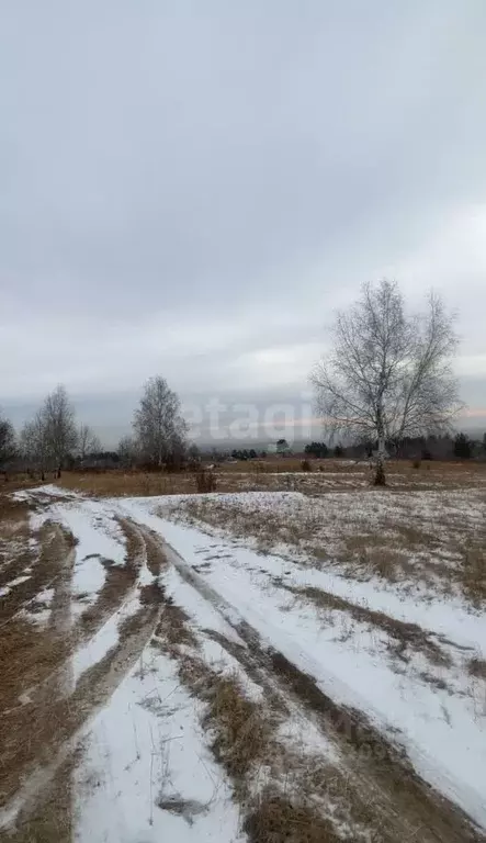 Участок в Забайкальский край, Чита Зеленый бор СНТ,  (5.8 сот.) - Фото 0