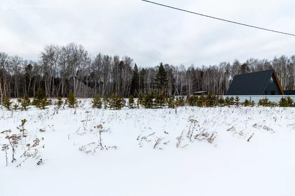 Участок в Тюменский район, село Кулига (12.34 м) - Фото 1