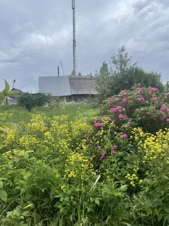 Дом в Пермский край, Нытвенский муниципальный округ, с. Григорьевское ... - Фото 1