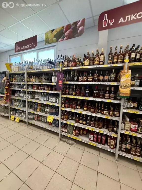 Торговая площадь (430 м) - Фото 1