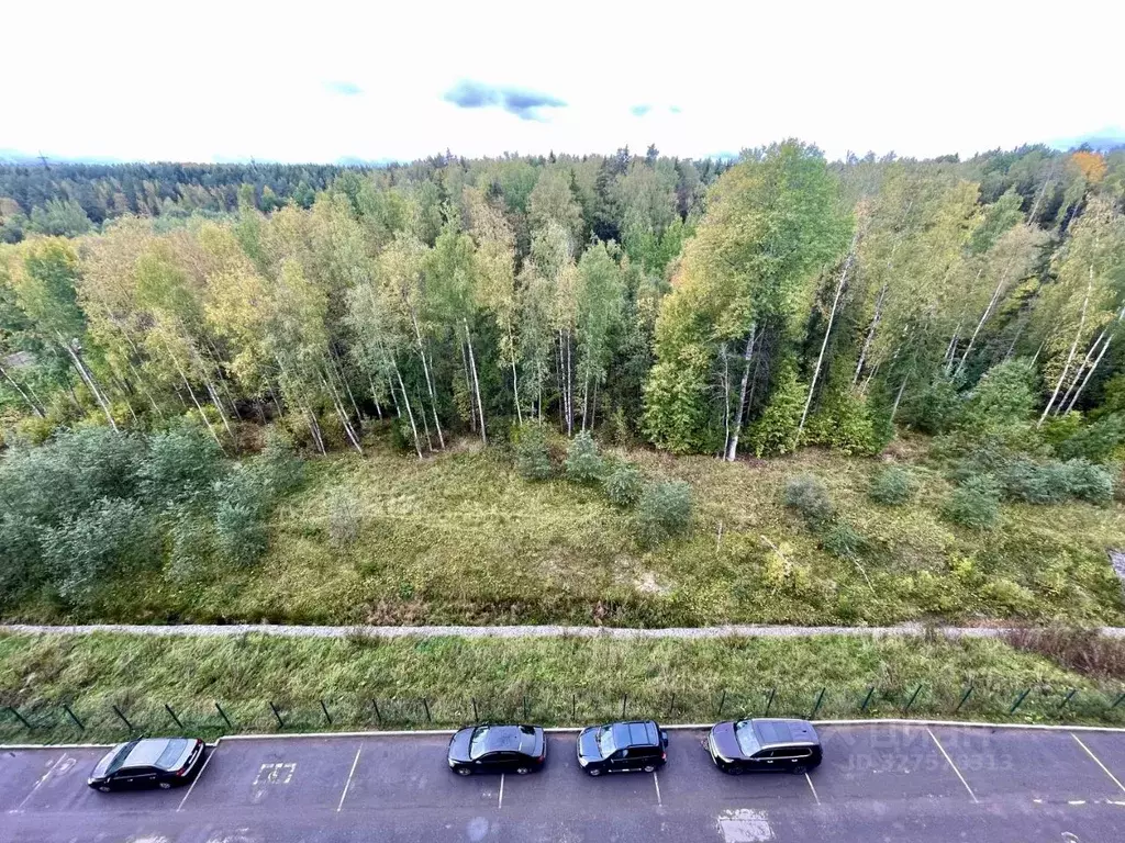 Студия Санкт-Петербург, Санкт-Петербург, Ломоносов Михайловская ул., ... - Фото 2