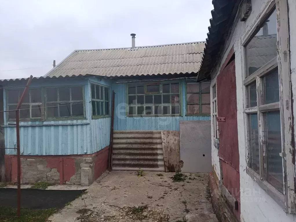 Дом в Белгородская область, Вейделевка рп ул. Колхозная, 81 (35 м) - Фото 1