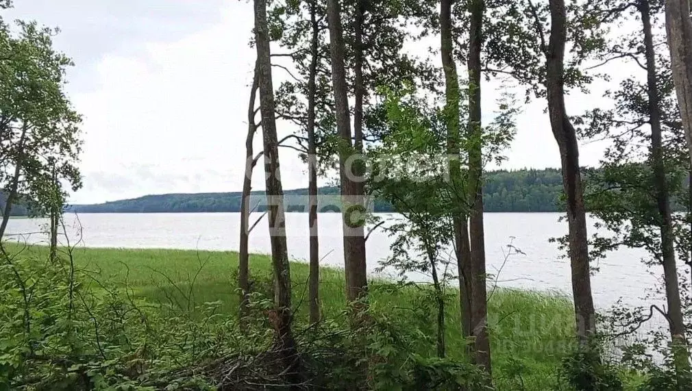 Участок в Ленинградская область, Выборгский район, Полянское с/пос, ... - Фото 1