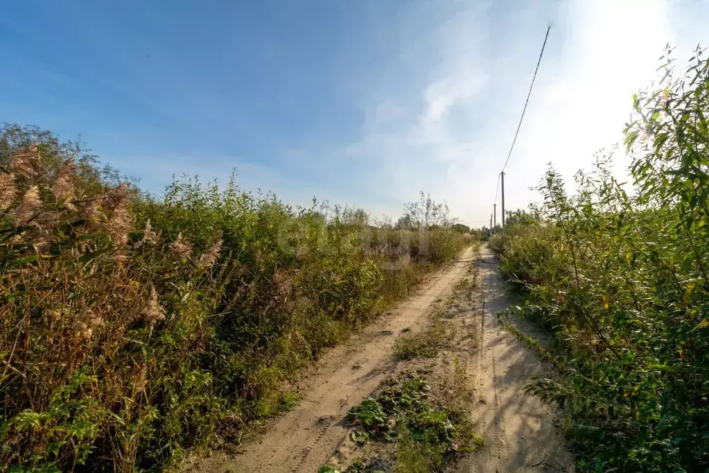 Участок в Тюменская область, Тюмень Поле Чудес-2 садовое товарищество, ... - Фото 1