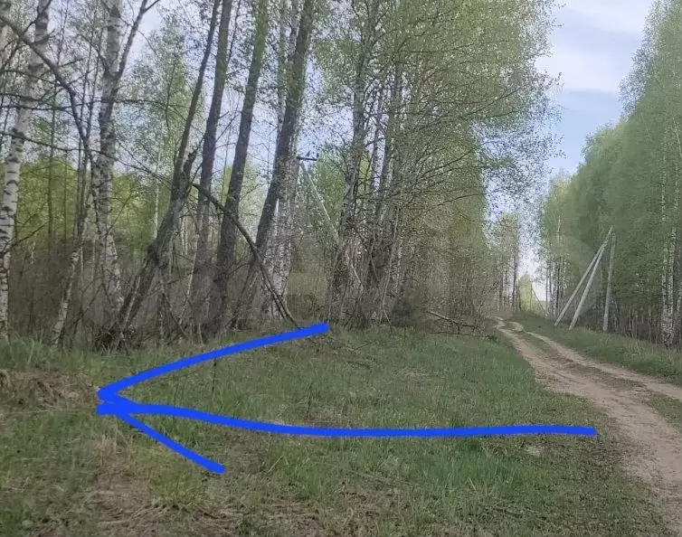 Участок 3 га (СНТ, ДНП) - Фото 1