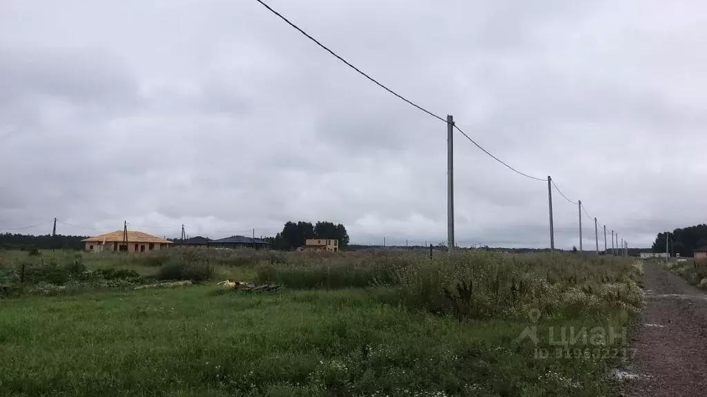 Участок в Омская область, Омский район, Пушкинское с/пос, Пушкинский ... - Фото 2