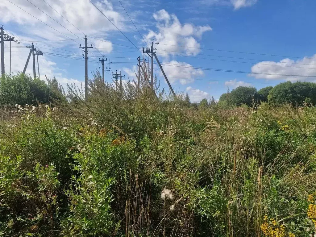 Участок в Московская область, Ступино городской округ, д. ... - Фото 1