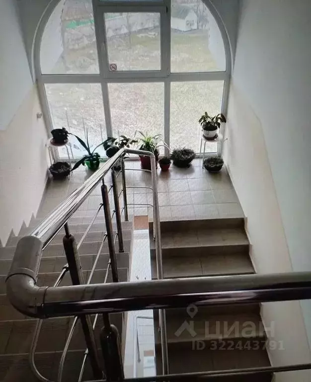 Студия Краснодарский край, Туапсинский муниципальный округ, ... - Фото 2