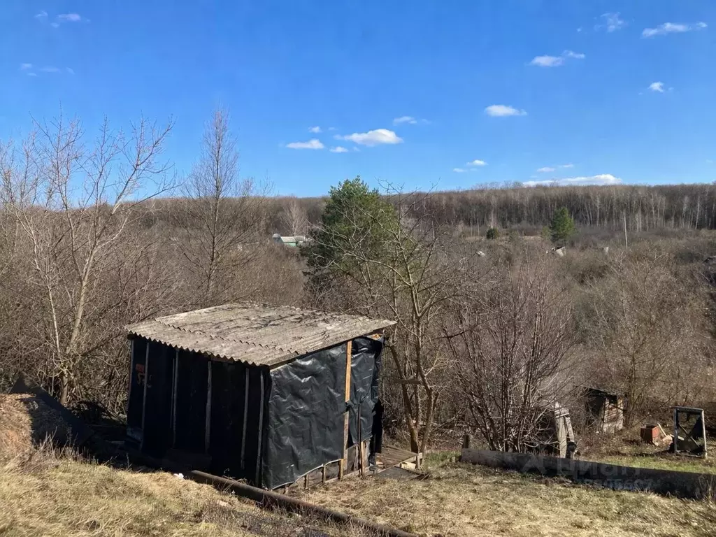 Участок в Самарская область, Самара Рассвет СДТ, 575 (10.0 сот.) - Фото 2