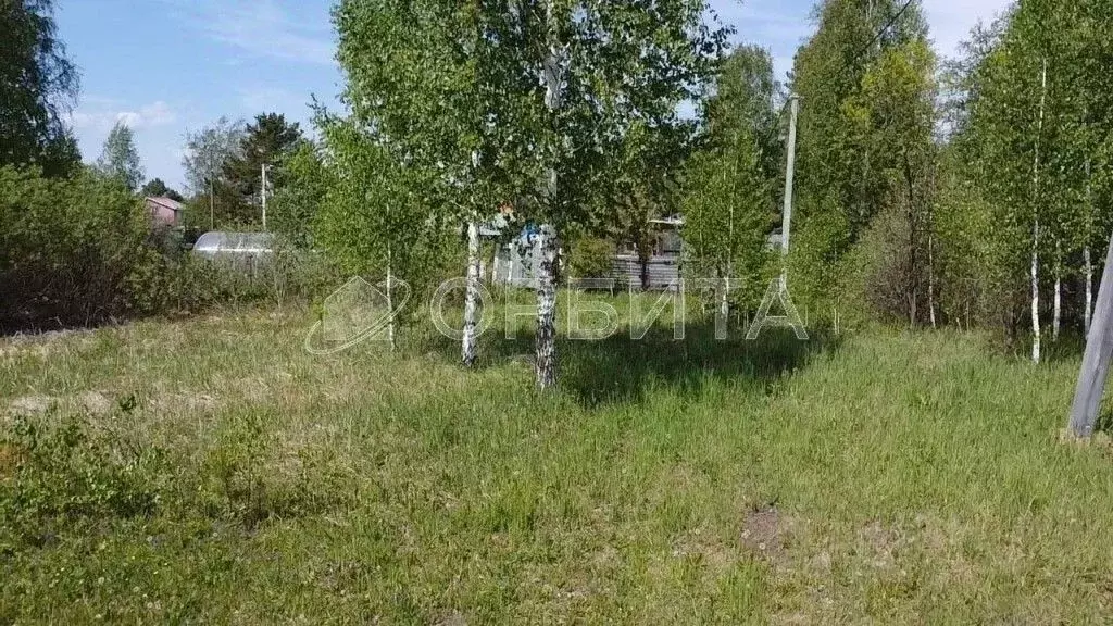 Участок в Тюменская область, Тюменский муниципальный округ, Лесник-2 ... - Фото 2