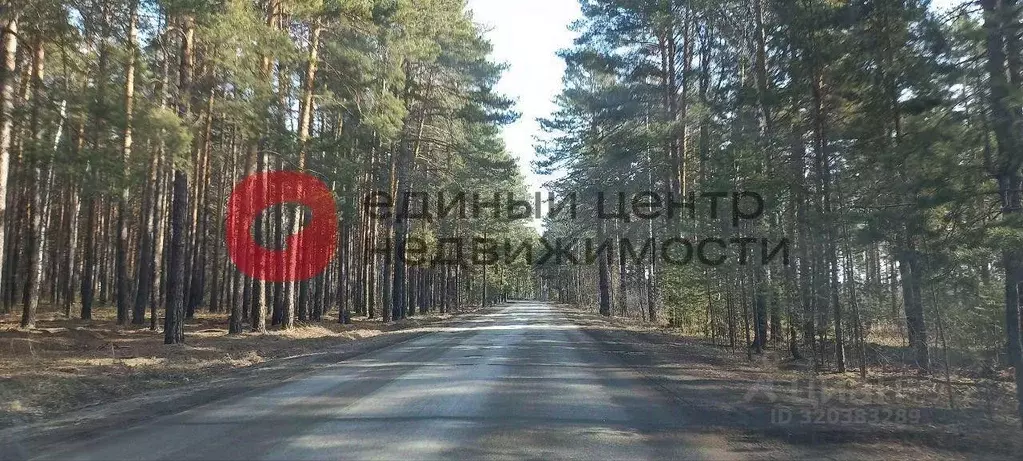 Участок в Тюменская область, Тюменский район, Винзили рп  (56.41 сот.) - Фото 1