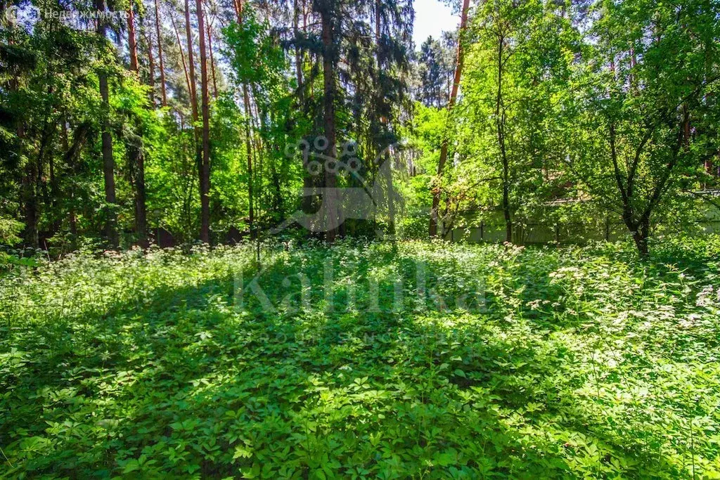 Участок в село Успенское, Учительская улица (2756 м) - Фото 2