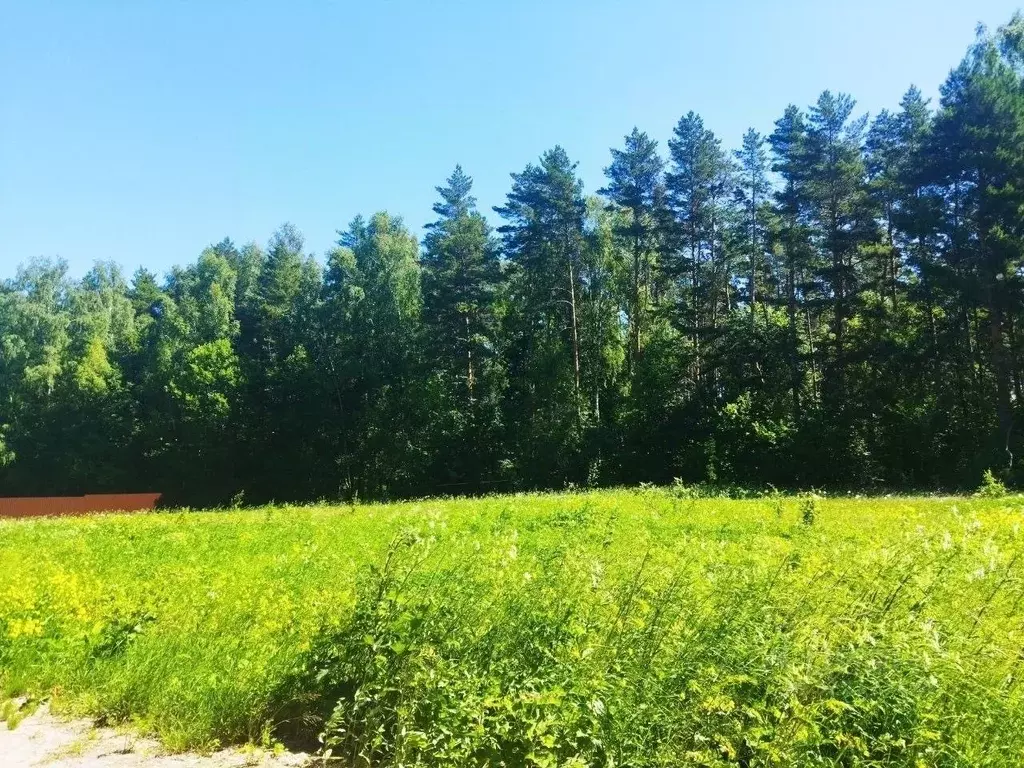 Участок в Тульская область, Ясногорский район, Иваньковское с/пос, ... - Фото 1