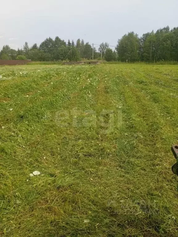 Участок в Ленинградская область, Волховский район, Усадищенское с/пос, ... - Фото 1