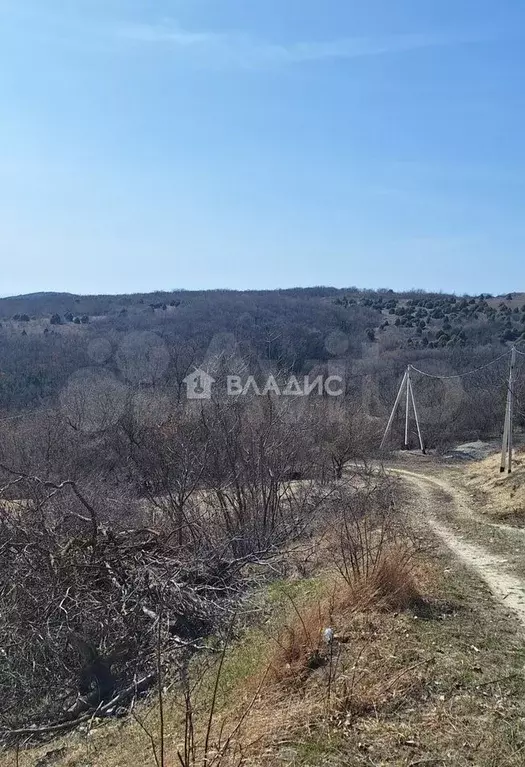 Участок 56 сот. (СНТ, ДНП) - Фото 0