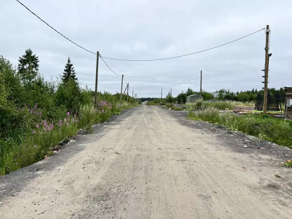 Участок в Карелия, Петрозаводск Древлянка-3 тер., Древлянка-11 мкр,  ... - Фото 1