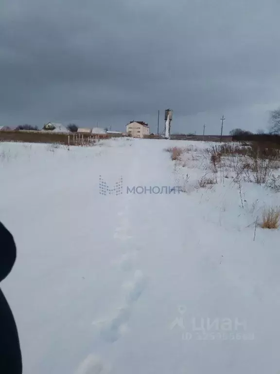 Участок в Нижегородская область, Богородский муниципальный округ, д. ... - Фото 2