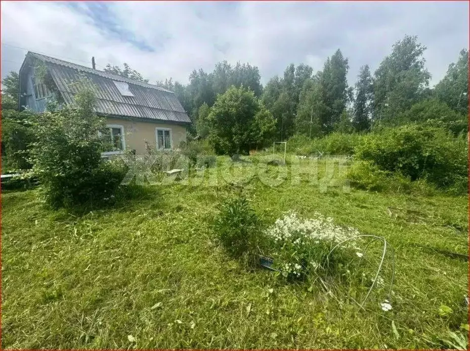 Дом в Новосибирская область, Новосибирский район, Раздольненский ... - Фото 1